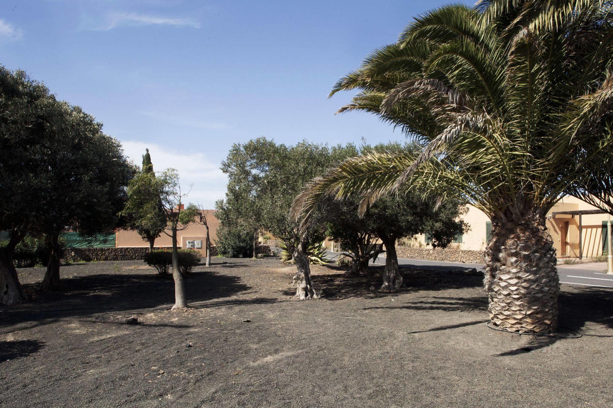 Apartamentos Laurisilva Corralejo Bagian luar foto