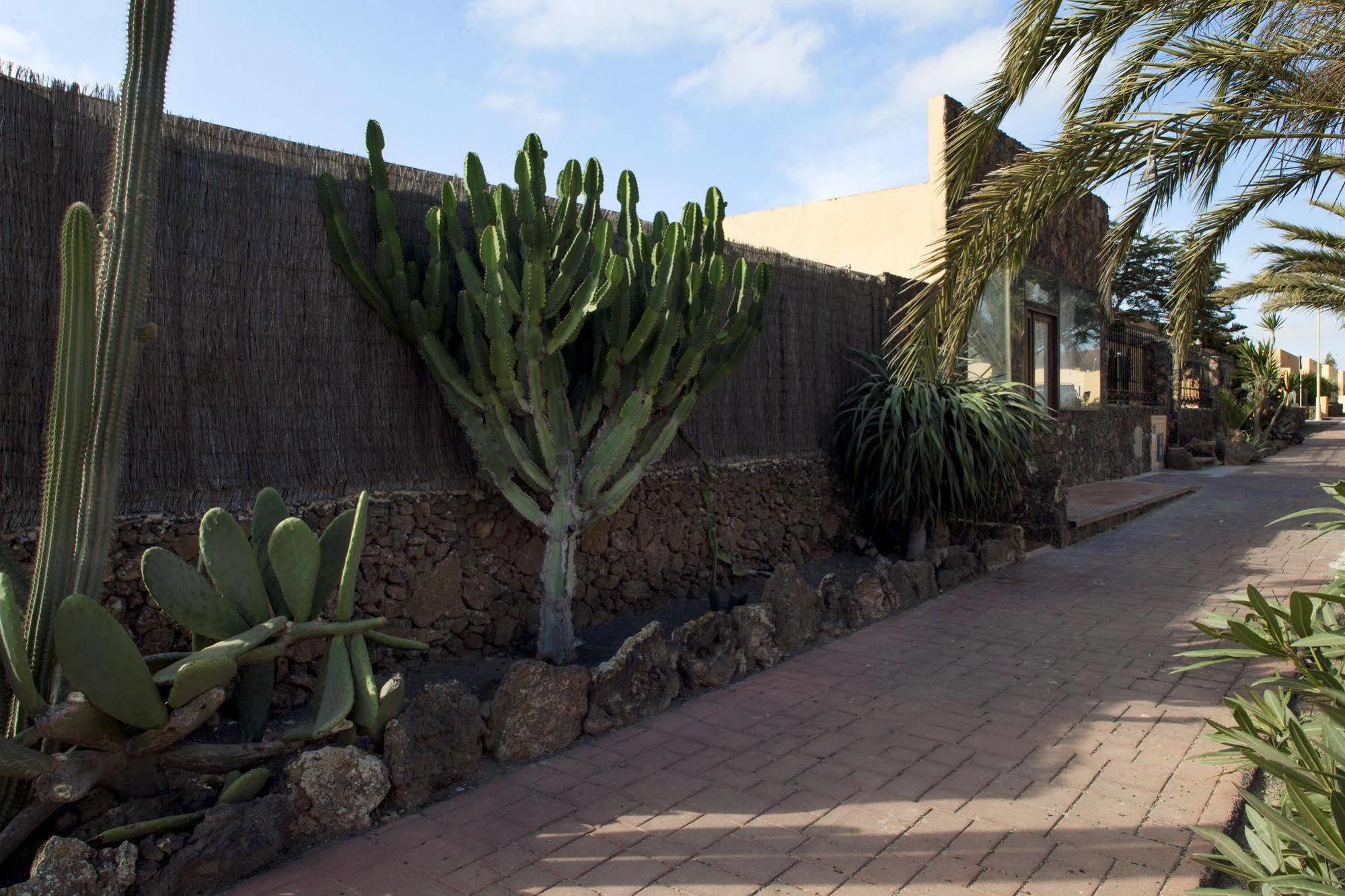 Apartamentos Laurisilva Corralejo Bagian luar foto
